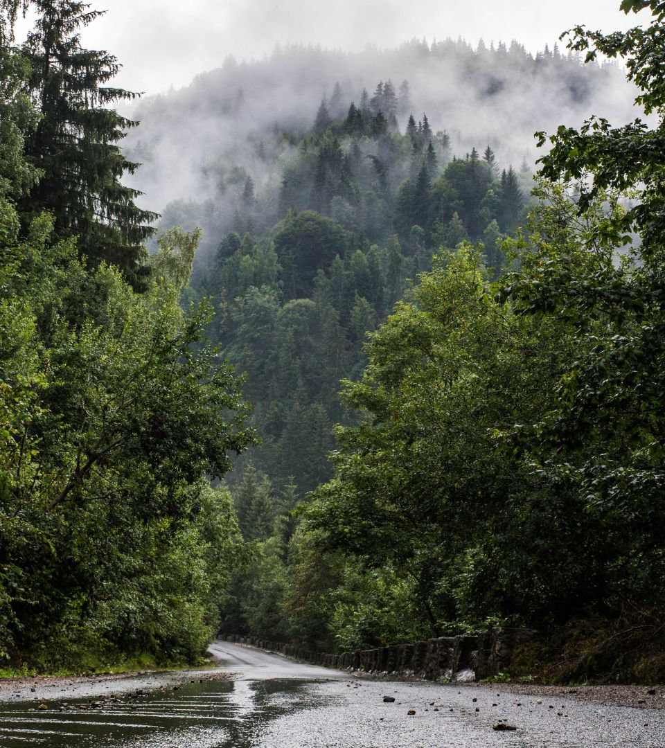 rainy hilly road