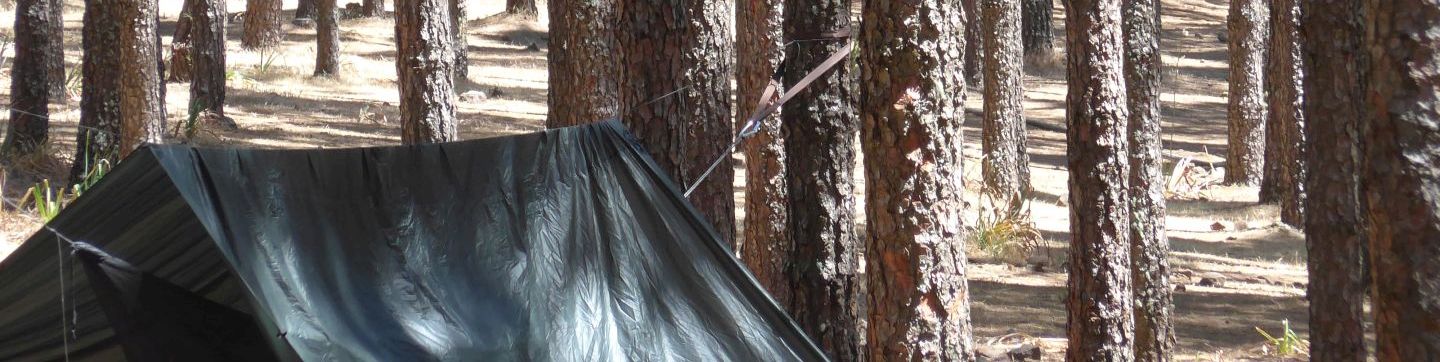 Hammock and tarp in situ